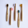 Child Bamboo Toothbrush Set